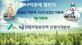산림조합중앙회 산림사업본부 남부사업소 | 산림조합중앙회 강원지역본부 코로나19 # 덕분에 챌린지 동참 - 산림조합중앙회 산림조합중앙회