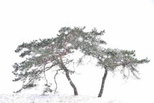 나주시산림조합(1종) | - 산림조합중앙회