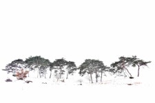 밀양시산림조합(1종) | - 산림조합중앙회
