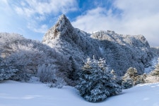봉화군산림조합(1종) | - 산림조합중앙회