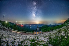 봉화군산림조합(1종) | - 산림조합중앙회