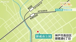 御蔵南公園のクスノキ｜阪神・淡路大震災 特集サイト - NHK 阪神・淡路大震災特集サイト