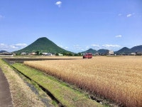 わたしのイチバン！作品紹介｜NHK高松放送局