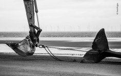 Beach Waste | Wildlife Photographer of the Year | Natural History Museum Beach Waste |  Wildlife Photographer of the Year... 