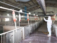 국립축산과학원 > 알기쉬운 축산정보 > 알기쉬운 축산정보 다운로드