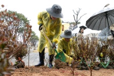 상세 < 축산연구사진 < 역사관 < 기관소개 < 국립축산과학원