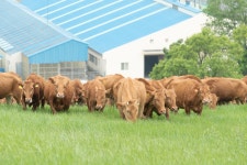 상세 < 축산연구사진 < 역사관 < 기관소개 < 국립축산과학원