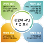 국립축산과학원 > 반려동물> 국립축산과학원과 함께 > 동물교감치유