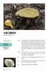 한반도의 버섯_가야산국립공원