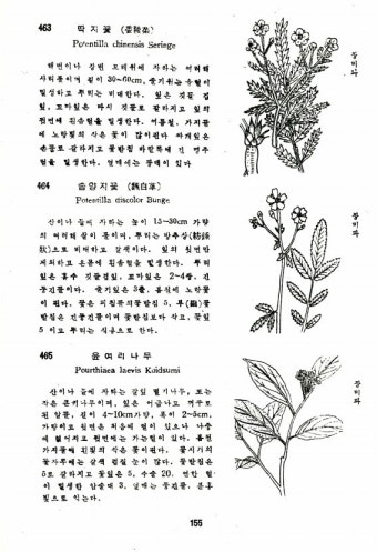 한국식물도감