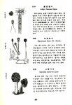 한국식물도감