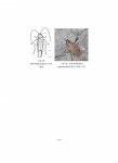 생물분류 현장종사자 역량강화 교재(곤충 심화과정)
