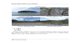 (2018) 특정도서 정밀조사 : 신안남부권역