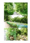 우리지역 생태자산과 생태계서비스(수원)