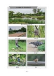 제2차 전국내륙습지 모니터링(20) 7권