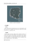 2020 전국 무인도서 자연환경조사(신안무안목포 Ⅰ권역)