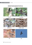 2022 생태·경관보전지역 정밀조사 -왕피천유역-