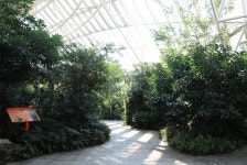 온대관 | 5대기후관 | 에코리움 | 전시 | 국립생태원 국립생태원