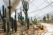 사막관 | 5대기후관 | 에코리움 | 전시 | 국립생태원 국립생태원