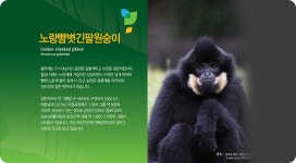 에코케어센터 | 동물보호(전시)시설 | 전시 | 국립생태원 국립생태원