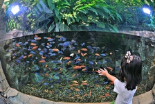 열대관 | 5대기후관 | 에코리움 | 전시 | 국립생태원 국립생태원