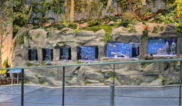 전시안내 | 물환경 생태관 | 국립환경과학원 국립환경과학원