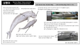 국립수산과학원˃기관소개˃소속기관˃고래연구소>소개>주요 연구