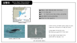국립수산과학원˃기관소개˃소속기관˃고래연구소>소개>주요 연구