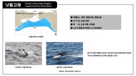 국립수산과학원˃기관소개˃소속기관˃고래연구소>소개>주요 연구