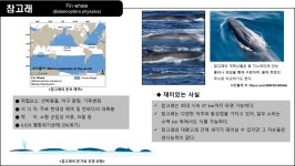 국립수산과학원˃기관소개˃소속기관˃고래연구소>소개>주요 연구