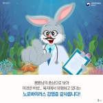 토선생!용궁까지가게된사연은?노로바이러스ALLKILL | 카드뉴스 | 홍보자료 | 알림·자료 : 질병관리청 질병관리청