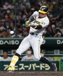 【阪神】糸井嘉男、引退試合で代打出場　三遊間を破る左前打に球場はこの日最大の大歓声 - プロ野球写真ニュース : 日刊スポーツ