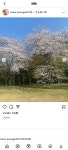 熊谷真実、満開の桜の写真を添え「生きているということが心から美しいと思った瞬間」を明かす - 芸能写真ニュース : 日刊スポーツ