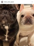 ケツメイシ大蔵、愛犬の旅立ちを報告「また散歩しようね…幸せな毎日をドモアリガット」　 - 芸能写真ニュース : 日刊スポーツ