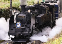 【鉄道開業150周年企画】SL大樹「カニ目」C11形207号で日光へ／ローカル列車紹介３ - 社会写真ニュース : 日刊スポーツ