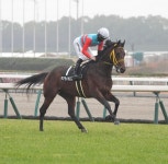 【毎日ベスト３】先週２勝、全連対！　日刊スポーツDB班が選ぶ特注調教タイムベスト３ - 毎日ベスト3 - 競馬コラム : 日刊スポーツ