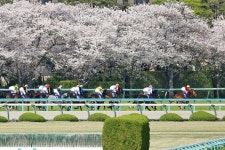 【坂口正大元調教師のG1解説】完壁発馬で勝負あり！逃げ切りレコード勝ち／大阪杯 - 坂口正大元調教師のG1解説 - 競馬コラム写真ニュース... 