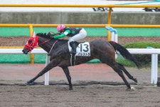 古川奈穂騎手がキャリアハイ更新８勝　３番人気バレストラで９馬身差圧勝／函館6R - 競馬写真ニュース : 日刊スポーツ