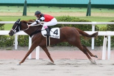 永島まなみ、自身２度目の１日２勝で年間勝利は最多９勝　ミーナティエルナで逃げ切る／小倉6R - 競馬写真ニュース : 日刊スポーツ