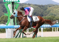 今村聖奈騎手が今週４勝目「乗せていただいたことに感謝」JRA32勝目／小倉2R - 競馬写真ニュース : 日刊スポーツ