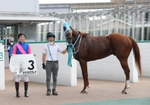 今村聖奈騎手が今週４勝目「乗せていただいたことに感謝」JRA32勝目／小倉2R - 競馬写真ニュース : 日刊スポーツ