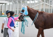 今村聖奈騎手が今週４勝目「乗せていただいたことに感謝」JRA32勝目／小倉2R - 競馬写真ニュース : 日刊スポーツ