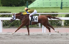 今村聖奈騎手JRA35勝目「恩返しできた」エルザストラウムと６戦目コンビで初勝利／小倉3R - 競馬写真ニュース : 日刊スポーツ