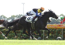 今村聖奈騎手がJRA開催８日連続Ｖ　中京2Rトゥーテイルズで38勝目「乗せていただき感謝」 - ２歳馬特集 | 競馬写真ニュース : 日刊スポーツ