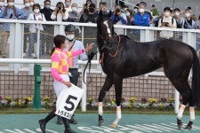 今村聖奈騎手が新潟３RトラネスハープでJRA41勝目　JRA女性騎手年間最多勝まであと２ - 競馬写真ニュース : 日刊スポーツ