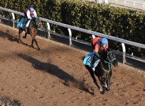 良血クファシル驚異の11秒７　池添学師「あれでも抑えていたぐらい」／シンザン記念 - ３歳馬特集 | 競馬写真ニュース : 日刊スポーツ