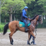 ”二刀流血統”ピューロマジックが17日東京6Rでデビュー　兄２頭は芝・ダートで勝利／新馬戦 - ２歳馬特集 | 競馬写真ニュース : 日刊スポーツ