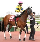 香港QE杯２着プログノーシス、8月20日の札幌記念を視野 - 有力馬 | 競馬 : 日刊スポーツ