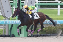 西村淳也がJRA300勝達成、現役55人目「次はG1を勝てるように頑張りたい」／中山1R - 競馬写真ニュース : 日刊スポーツ