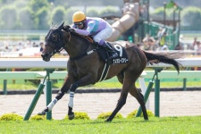 逆転！再逆転！　競馬界のレジェンド武豊騎手が初の函館リーディングジョッキーへ３連勝 - 競馬写真ニュース : 日刊スポーツ